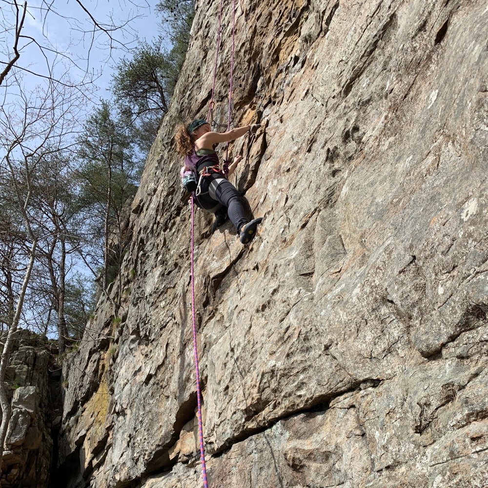 Meet your Posher, Callie